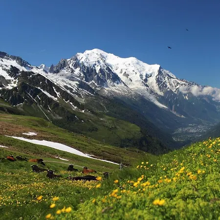 Chalet Granier * Saint-Gervais-les-Bains